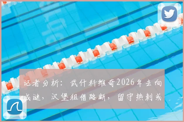 记者分析:武什科维奇2026年去向成谜,汉堡租借路断,留守热刺或投豪门
