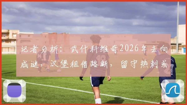 记者分析：武什科维奇2026年去向成谜，汉堡租借路断，留守热刺或投豪门