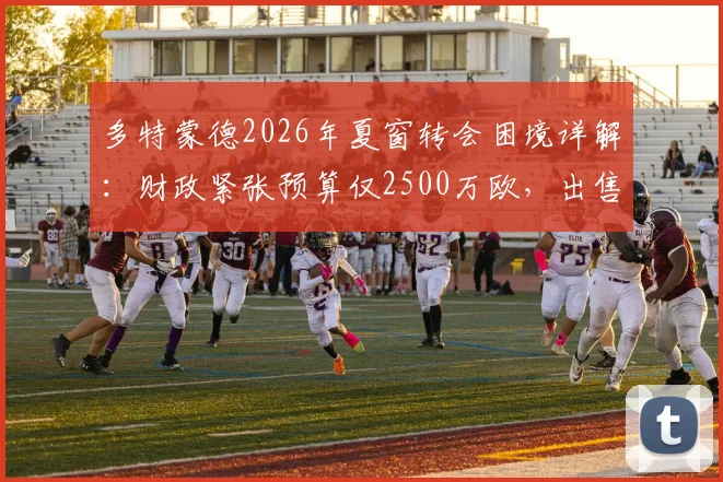 多特蒙德2026年夏窗转会困境详解：财政紧张预算仅2500万欧，出售阿德耶米成关键，球队引援策略与阵容补强全解析