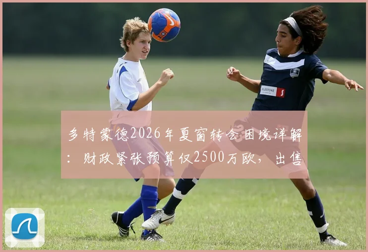 多特蒙德2026年夏窗转会困境详解：财政紧张预算仅2500万欧，出售阿德耶米成关键，球队引援策略与阵容补强全解析